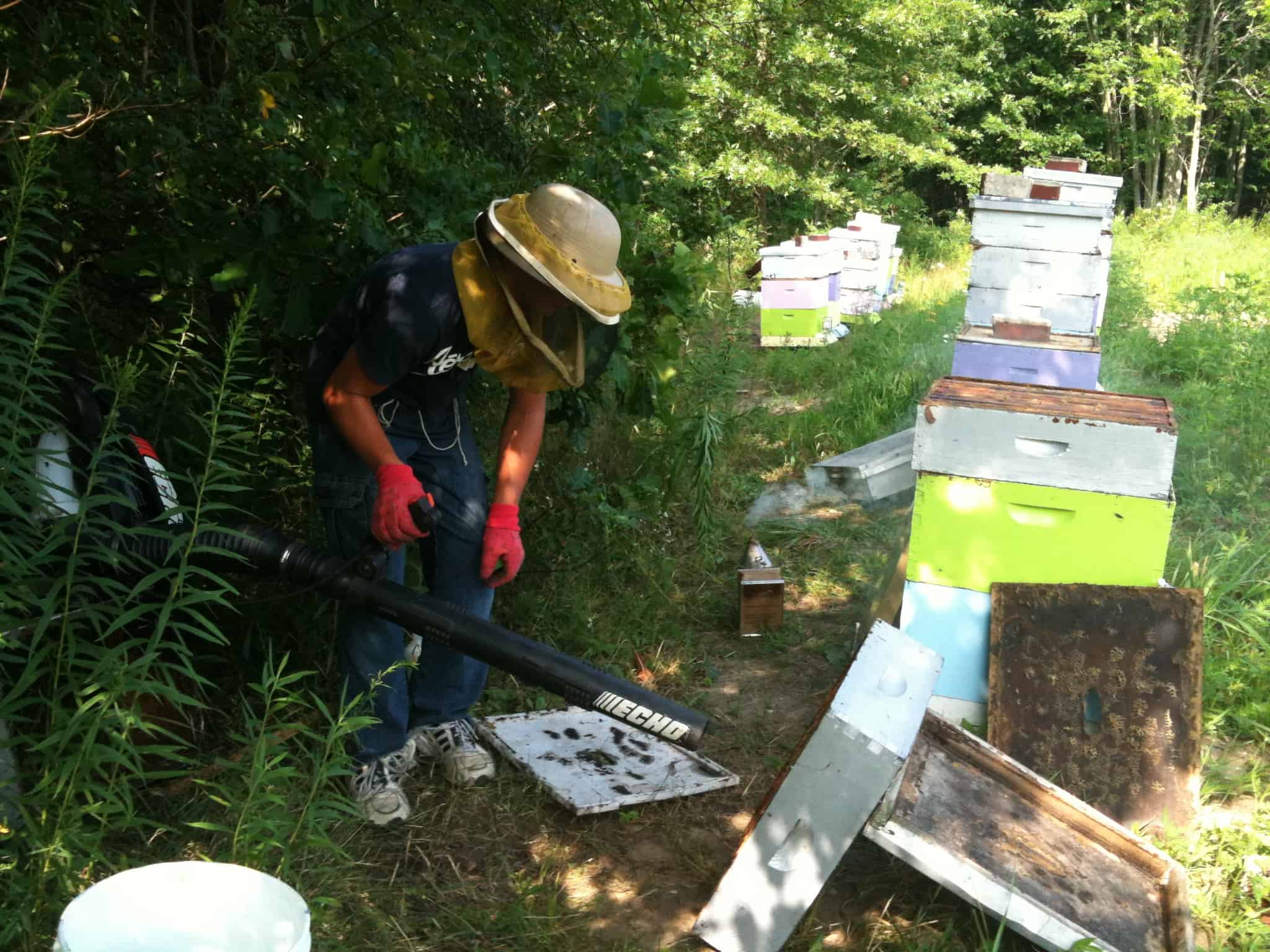 Honey Harvest 2010!