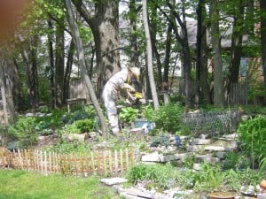 Image 2