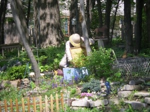 Image 4