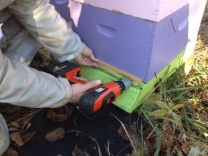 We always insert entrance reducers in preparation for the winter months. Use them when your feeding your bees as well to help prevent robbing.