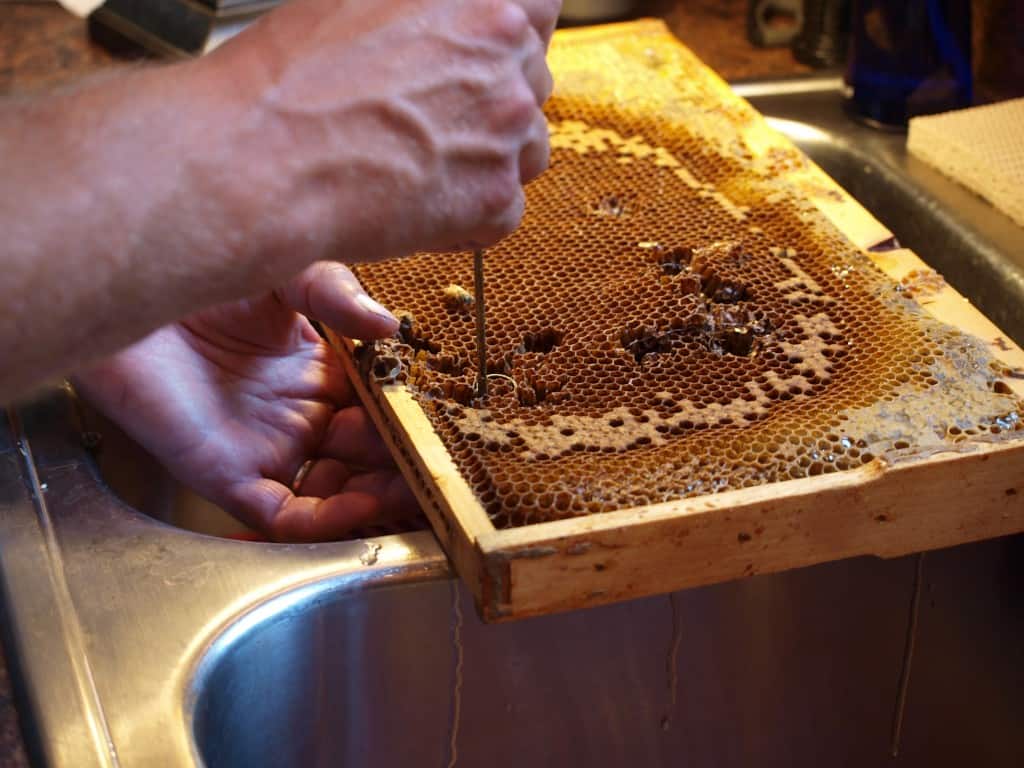 The "cell punch" method is a relatively easy way to raise queens on a small scale without having to graft.