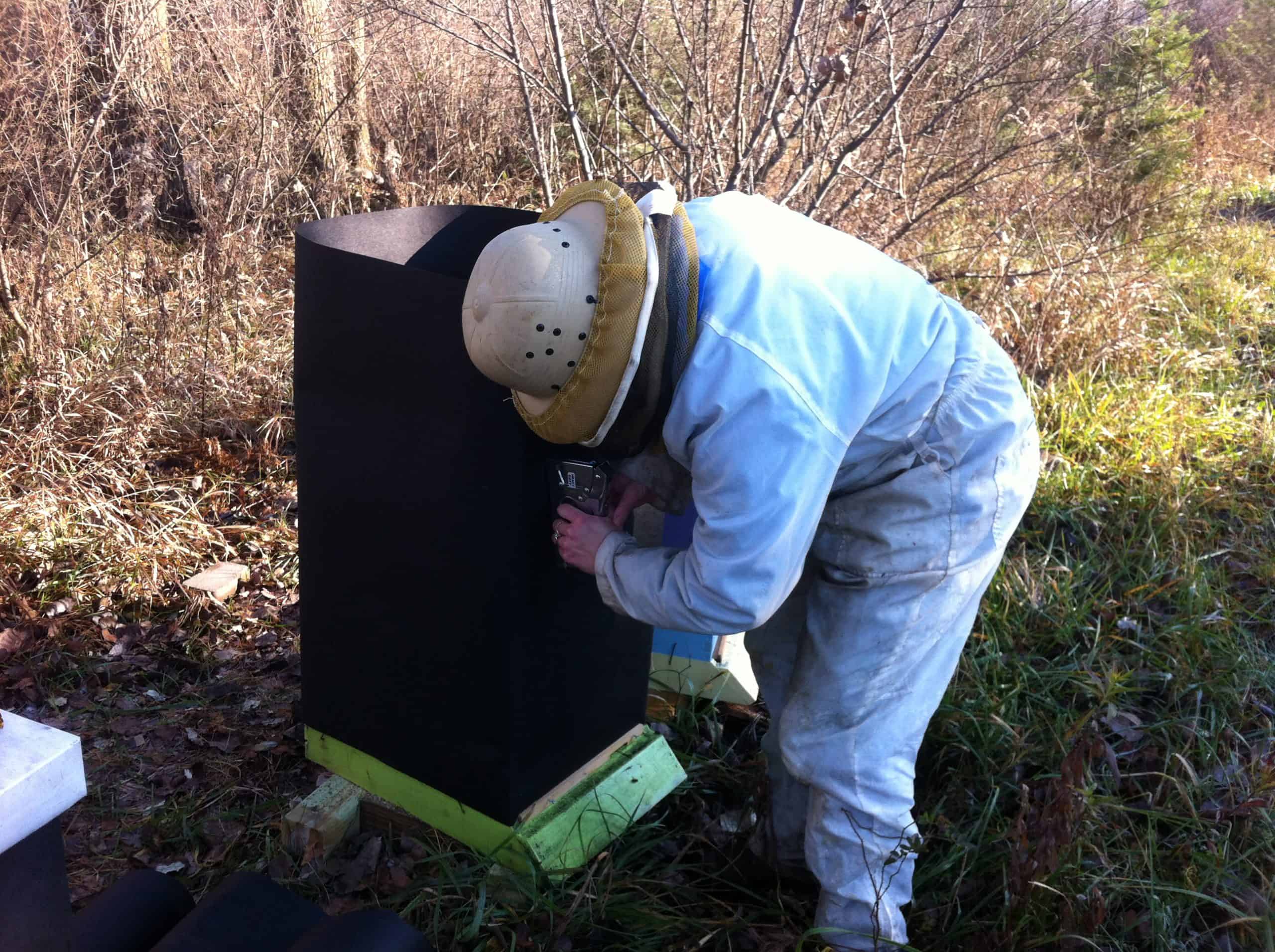 Wintering Bees in Michigan